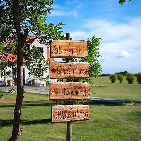 Hotel Vejro - Vejroe